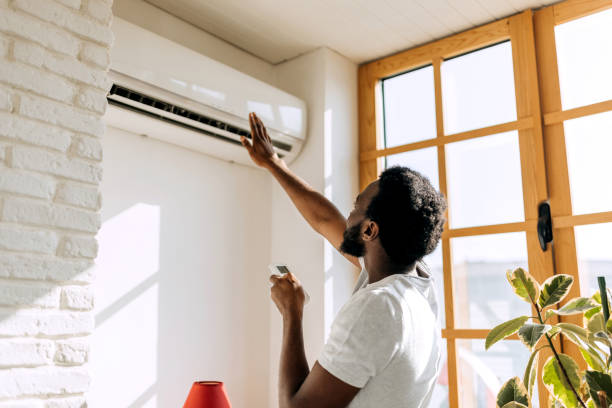 Best Ductless Mini-Split Systems in Caledonia, MN